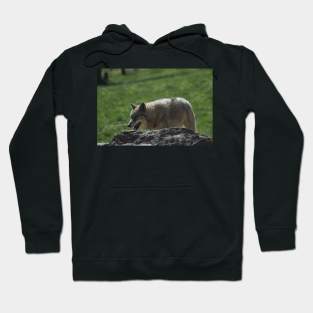 Wolf Hoodie